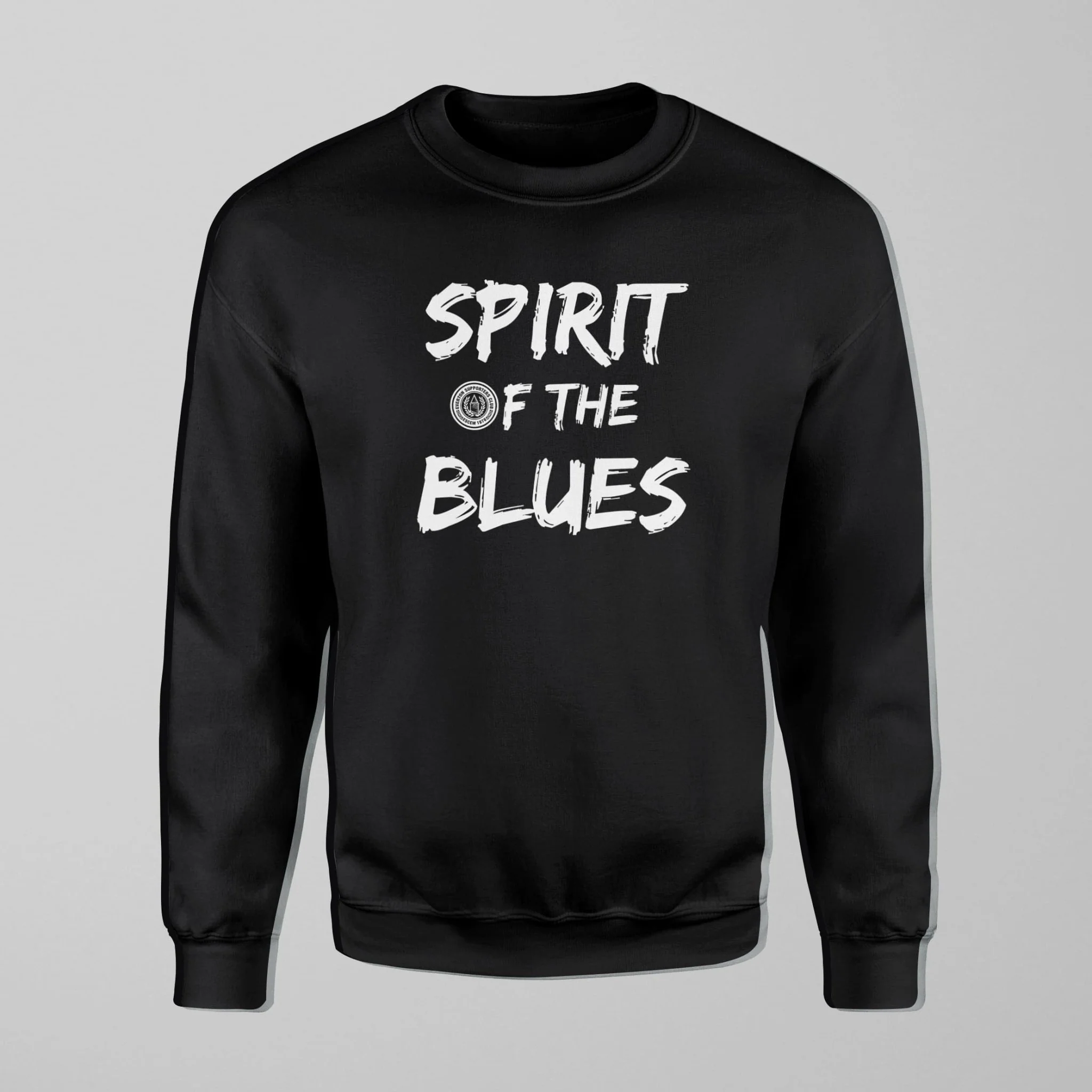 ESCEM - Spirit Dark Jumper