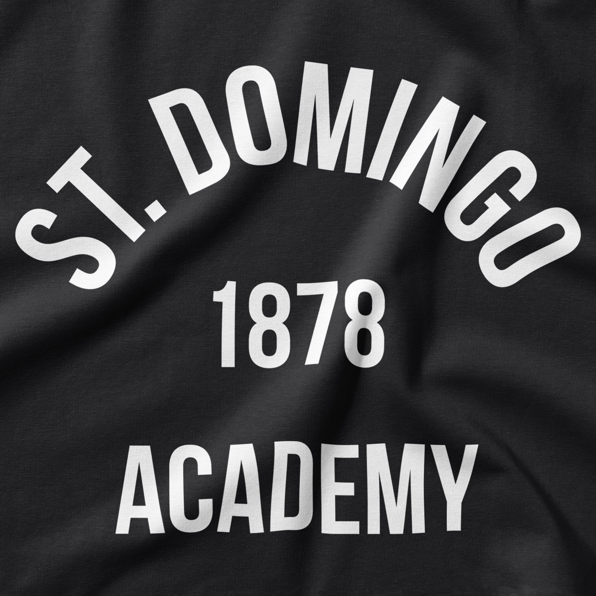 St Domingo Academy T-Shirt - Image 2